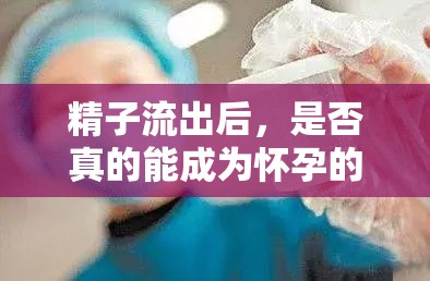 精子流出后，是否真的能成為懷孕的‘安全牌’？