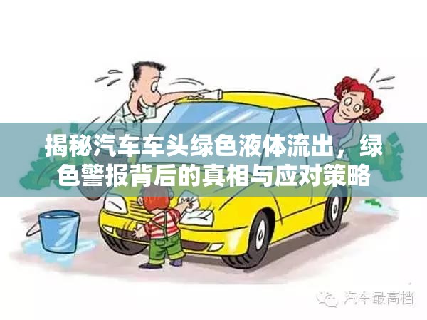 揭秘汽車車頭綠色液體流出，綠色警報(bào)背后的真相與應(yīng)對(duì)策略