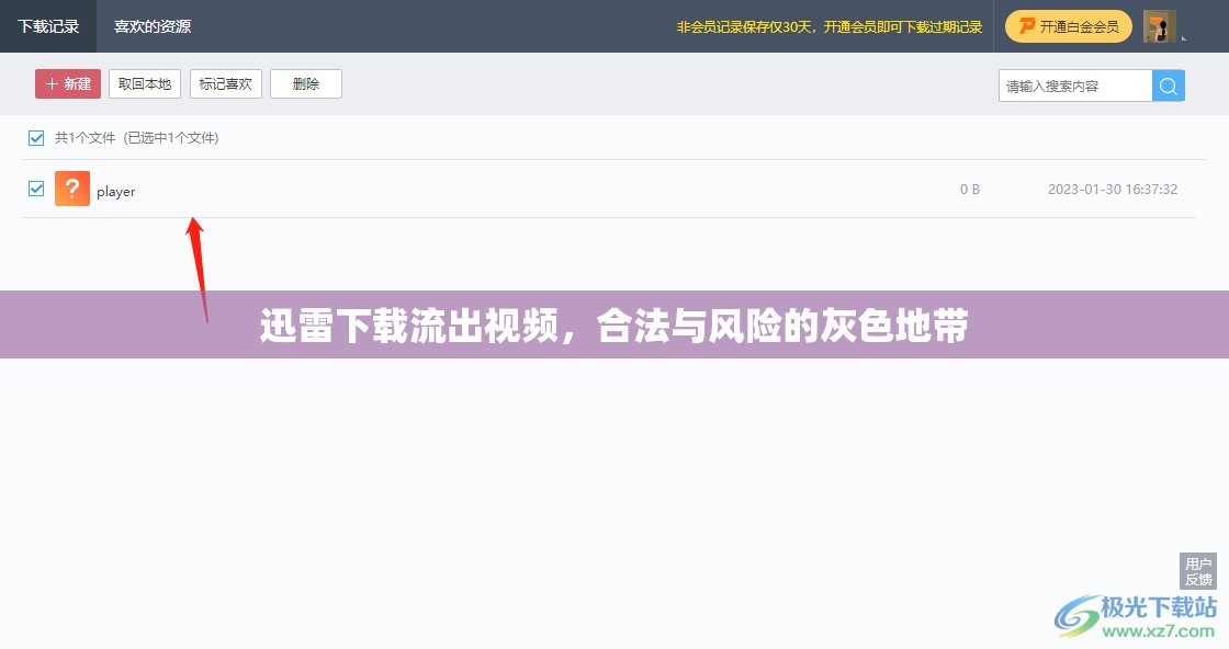 迅雷下載流出視頻，合法與風險的灰色地帶