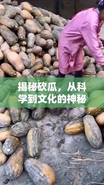 揭秘砍瓜，從科學(xué)到文化的神秘液體深度解析