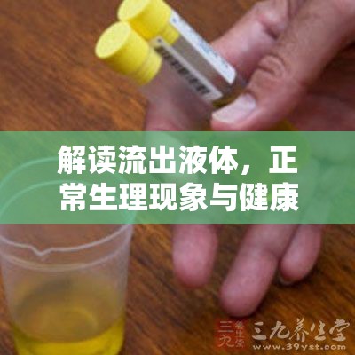 解讀流出液體，正常生理現(xiàn)象與健康警報(bào)的雙重含義