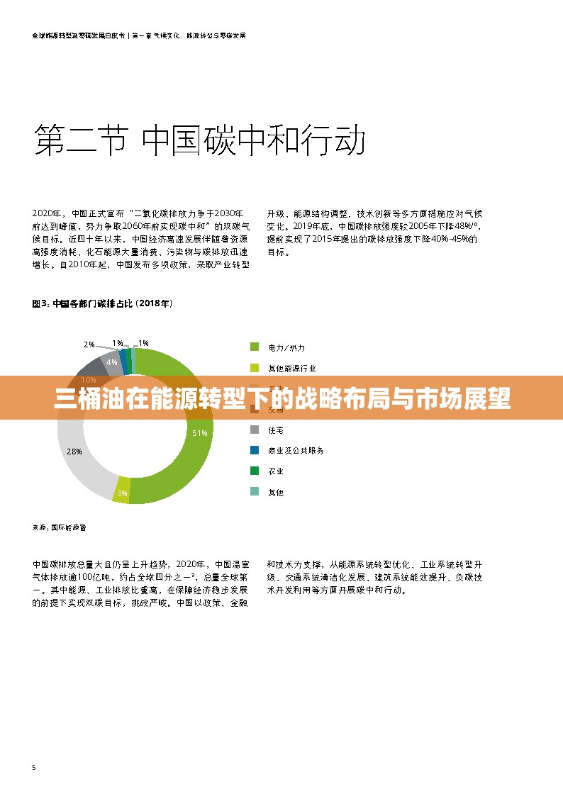 三桶油在能源轉(zhuǎn)型下的戰(zhàn)略布局與市場(chǎng)展望