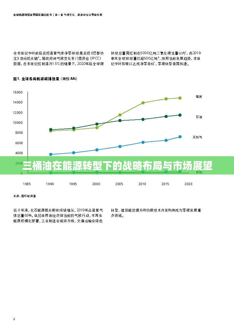 三桶油在能源轉(zhuǎn)型下的戰(zhàn)略布局與市場展望