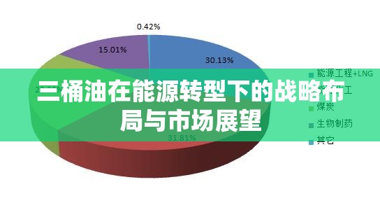 三桶油在能源轉(zhuǎn)型下的戰(zhàn)略布局與市場(chǎng)展望