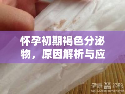 懷孕初期褐色分泌物，原因解析與應(yīng)對策略