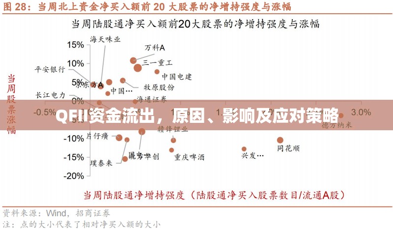 QFII資金流出，原因、影響及應對策略