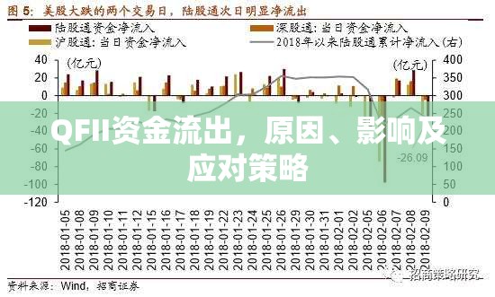 QFII資金流出，原因、影響及應(yīng)對(duì)策略