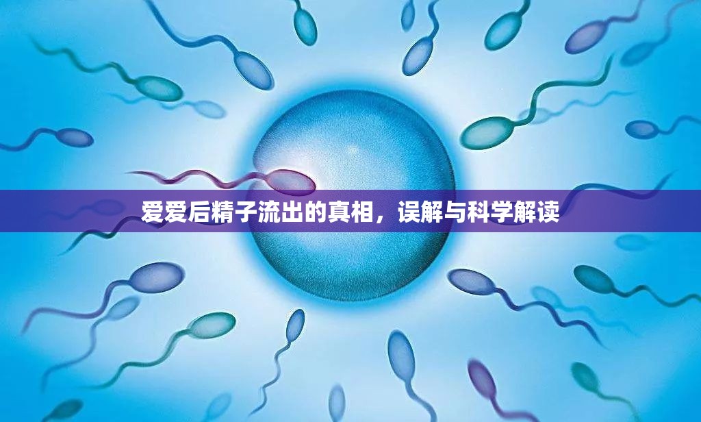 愛愛后精子流出的真相，誤解與科學(xué)解讀