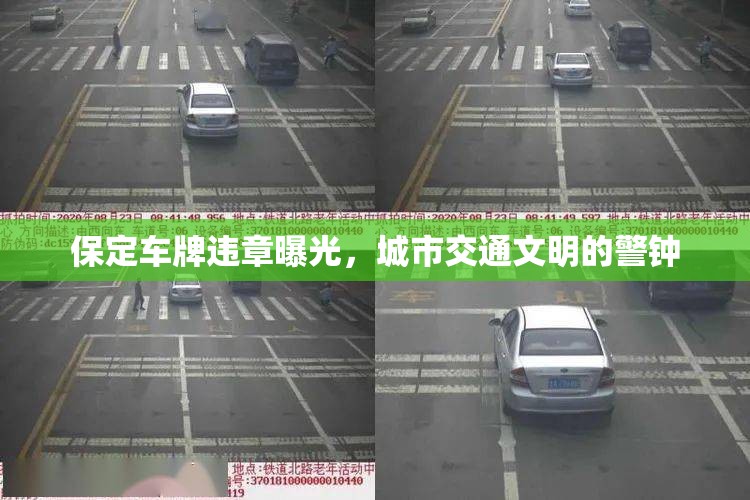 保定車牌違章曝光，城市交通文明的警鐘