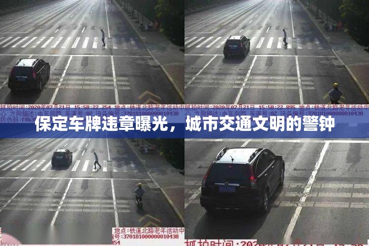 保定車牌違章曝光，城市交通文明的警鐘