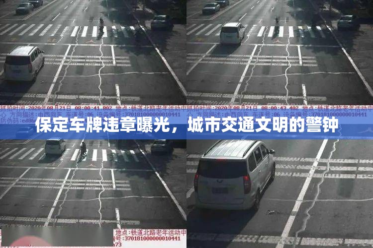 保定車牌違章曝光，城市交通文明的警鐘