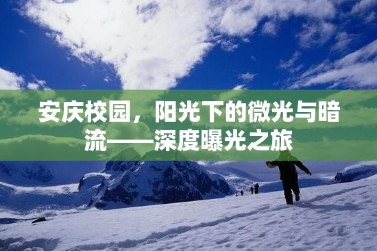 安慶校園，陽光下的微光與暗流——深度曝光之旅