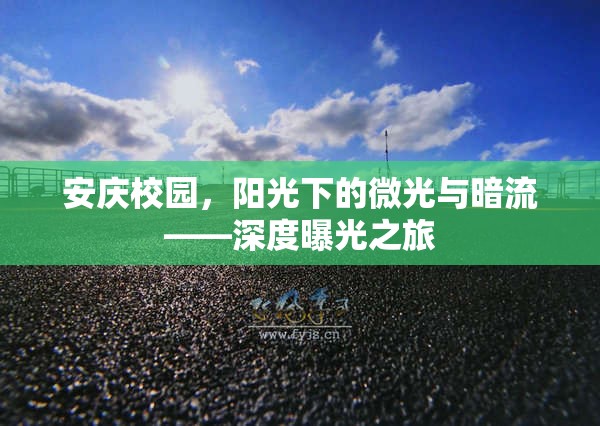 安慶校園，陽光下的微光與暗流——深度曝光之旅