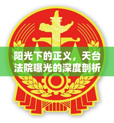 陽光下的正義，天臺法院曝光的深度剖析與透明司法守護(hù)公平的燈塔