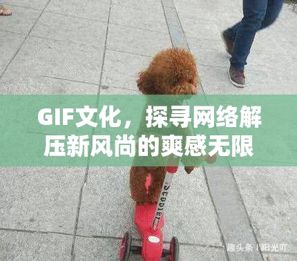 GIF文化，探尋網絡解壓新風尚的爽感無限可能