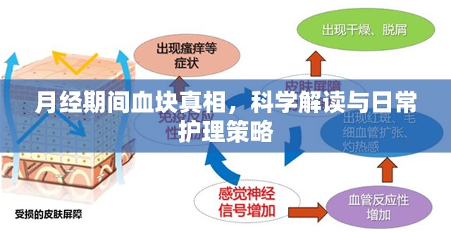 月經(jīng)期間血塊真相，科學解讀與日常護理策略