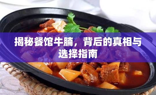 揭秘餐館牛腩，背后的真相與選擇指南