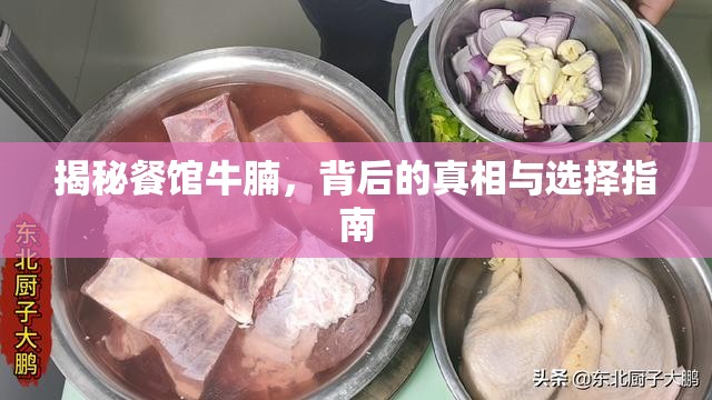 揭秘餐館牛腩，背后的真相與選擇指南