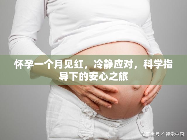 懷孕一個(gè)月見(jiàn)紅，冷靜應(yīng)對(duì)，科學(xué)指導(dǎo)下的安心之旅