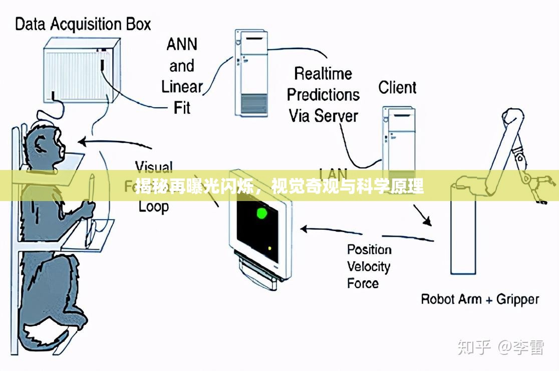 揭秘再曝光閃爍，視覺奇觀與科學原理