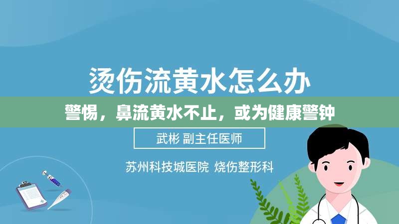 警惕，鼻流黃水不止，或?yàn)榻】稻? class=