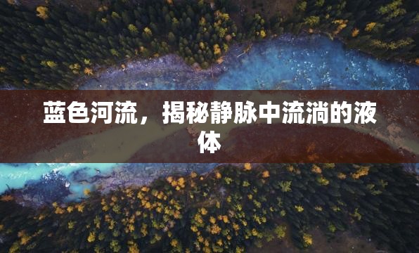 藍(lán)色河流，揭秘靜脈中流淌的液體