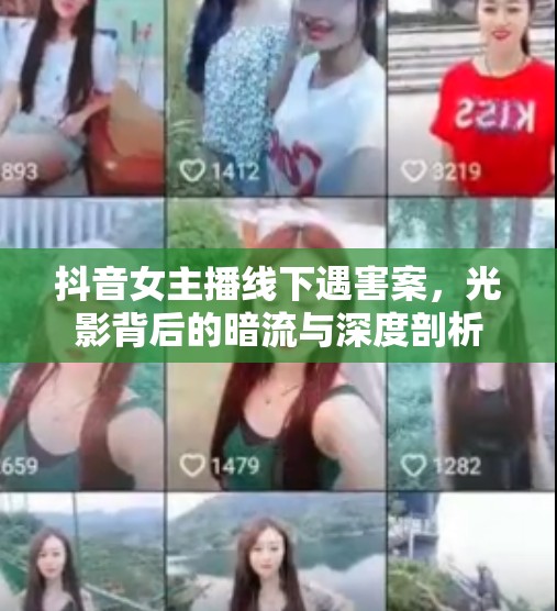 抖音女主播線下遇害案，光影背后的暗流與深度剖析