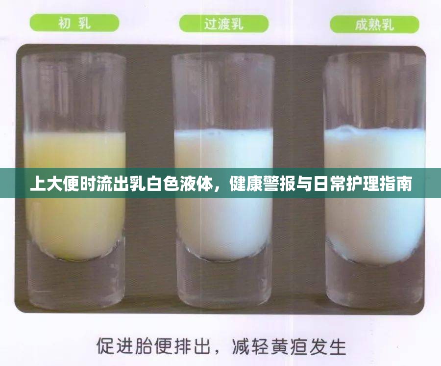 上大便時流出乳白色液體，健康警報與日常護理指南