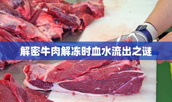 解密牛肉解凍時血水流出之謎