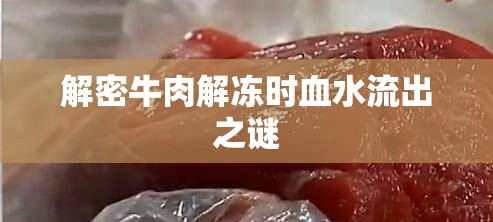 解密牛肉解凍時(shí)血水流出之謎