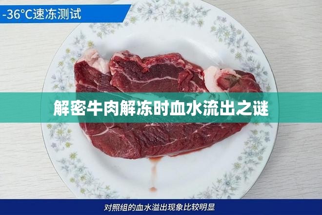 解密牛肉解凍時血水流出之謎