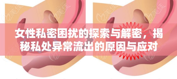 女性私密困擾的探索與解密，揭秘私處異常流出的原因與應(yīng)對策略