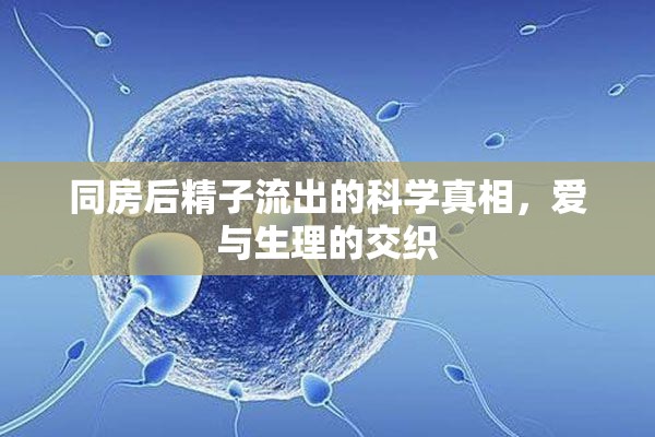 同房后精子流出的科學(xué)真相，愛與生理的交織