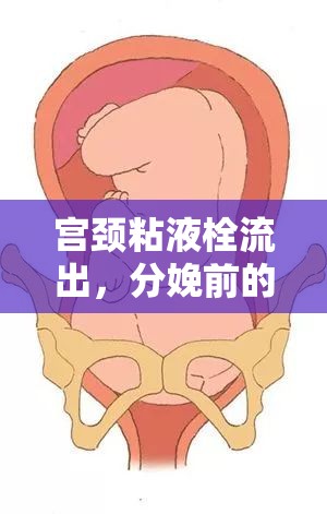 宮頸粘液栓流出，分娩前的自然信號與應(yīng)對策略