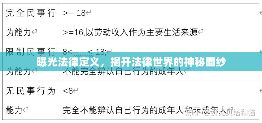 曝光法律定義，揭開法律世界的神秘面紗