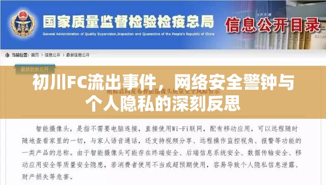 初川FC流出事件，網絡安全警鐘與個人隱私的深刻反思