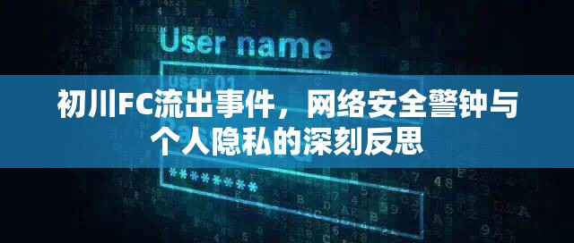 初川FC流出事件，網(wǎng)絡安全警鐘與個人隱私的深刻反思