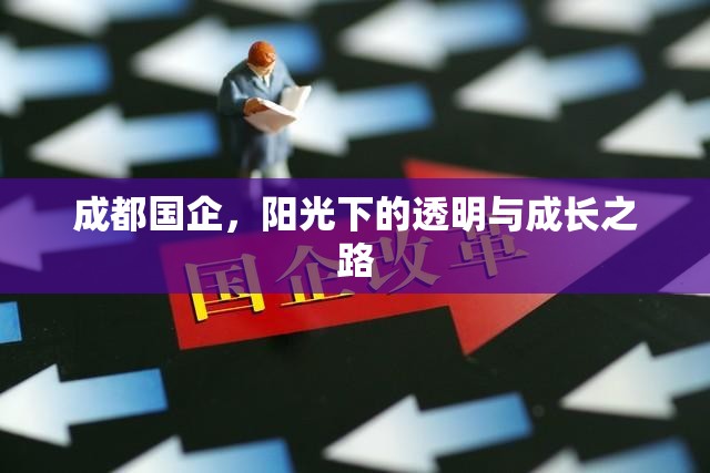 成都國企，陽光下的透明與成長之路