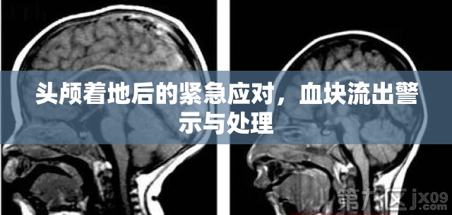 頭顱著地后的緊急應(yīng)對，血塊流出警示與處理