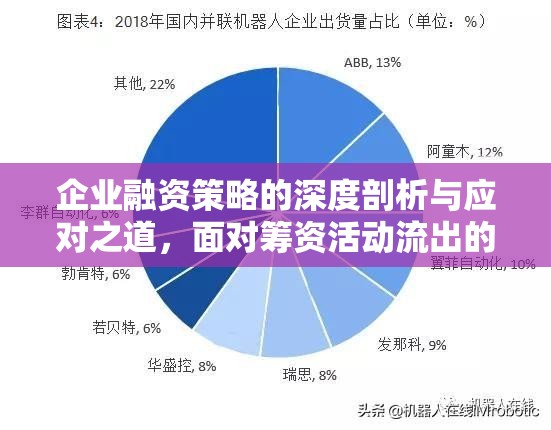 企業(yè)融資策略的深度剖析與應(yīng)對(duì)之道，面對(duì)籌資活動(dòng)流出的挑戰(zhàn)