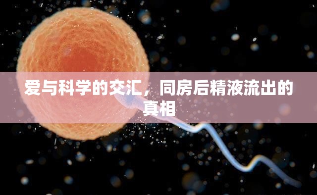 愛與科學(xué)的交匯，同房后精液流出的真相