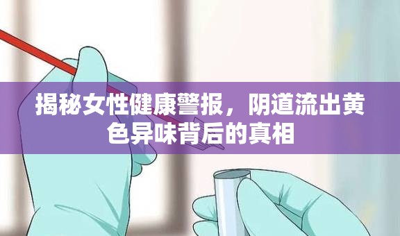 揭秘女性健康警報(bào)，陰道流出黃色異味背后的真相