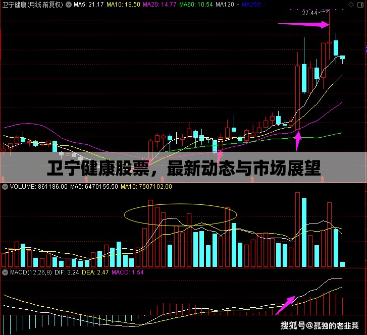 衛(wèi)寧健康股票，最新動態(tài)與市場展望