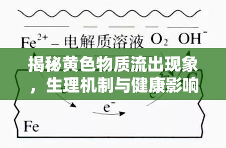 揭秘黃色物質(zhì)流出現(xiàn)象，生理機(jī)制與健康影響的深度剖析