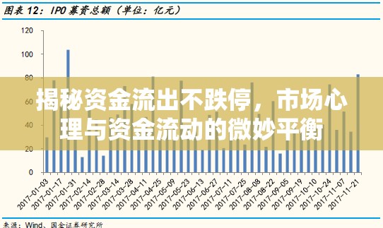 揭秘資金流出不跌停，市場(chǎng)心理與資金流動(dòng)的微妙平衡