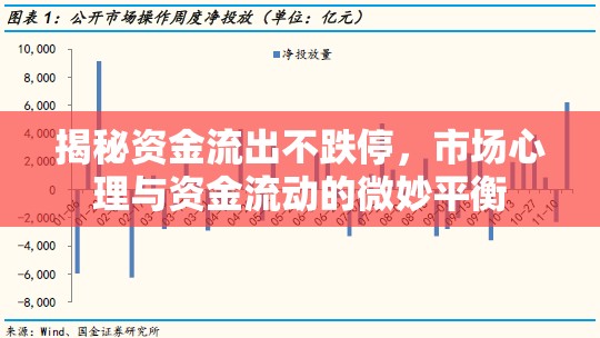 揭秘資金流出不跌停，市場(chǎng)心理與資金流動(dòng)的微妙平衡