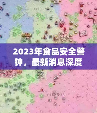 2023年食品安全警鐘，最新消息深度解析