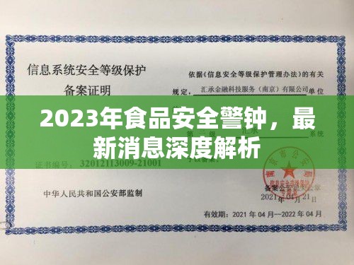 2023年食品安全警鐘，最新消息深度解析