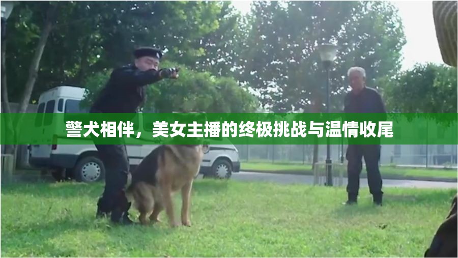 警犬相伴，美女主播的終極挑戰(zhàn)與溫情收尾