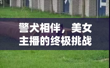 警犬相伴，美女主播的終極挑戰(zhàn)與溫情收尾